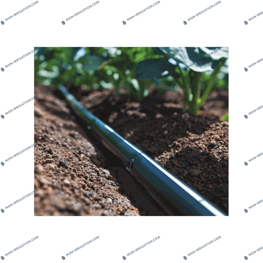 découvrez comment choisir le meilleur tubing goutte à goutte pour optimiser l'irrigation de votre jardin. nos conseils pratiques vous aideront à sélectionner le système adapté à vos besoins pour une croissance saine et durable de vos plantes.