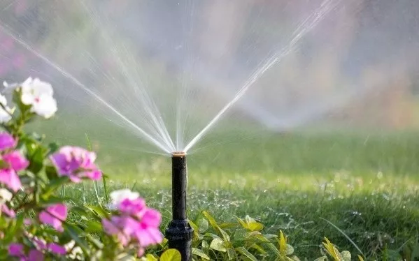 découvrez notre comparatif des kits d'arrosage pour choisir le système idéal adapté à vos besoins de jardinage. évaluez les fonctionnalités, les prix et les performances pour un arrosage optimal de vos plantes.