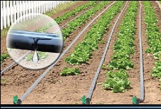 découvrez les systèmes de goutte à goutte, une solution d'irrigation efficace et économe en eau pour vos jardins et cultures. optimisez votre consommation d'eau tout en garantissant une distribution précise et contrôlée des nutriments aux plantes.