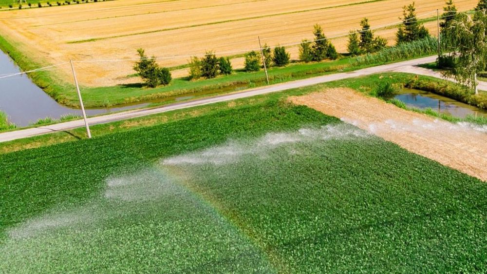 découvrez notre analyse approfondie sur les systèmes d'irrigation : avantages, inconvénients et conseils d'experts. trouvez les meilleures solutions pour optimiser l'arrosage de vos cultures.