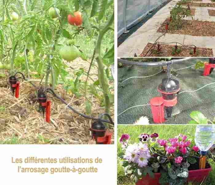 découvrez notre guide complet sur l'irrigation de jardin, incluant des avis d'experts et des conseils pratiques pour choisir le système adapté à vos besoins. apprenez à optimiser l'arrosage de vos plantes tout en préservant l'eau.