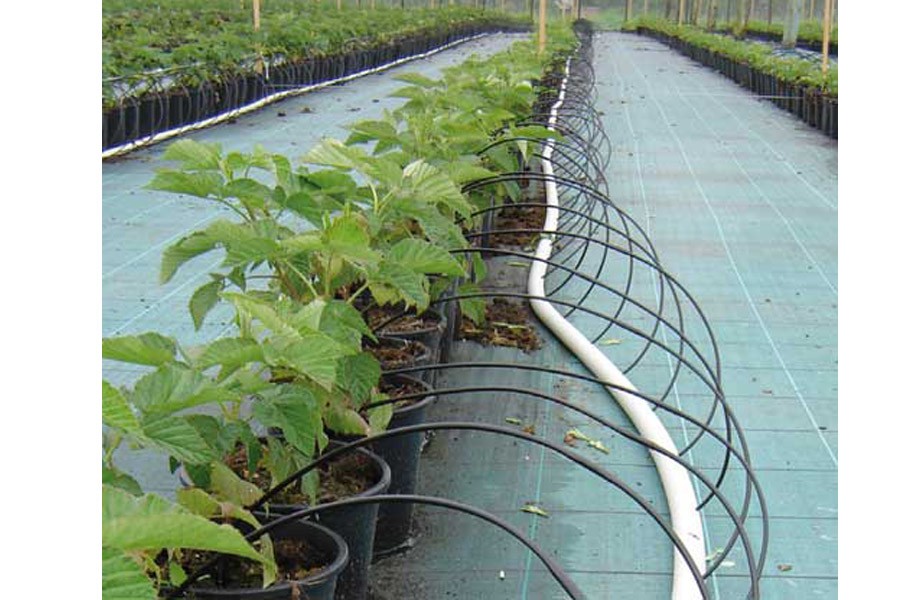 découvrez notre article d'avis sur l'irrigation de jardin, où nous partageons des conseils pratiques, des systèmes efficaces et des retours d'expérience pour optimiser l'arrosage de vos plantes et maintenir votre espace vert en pleine santé.