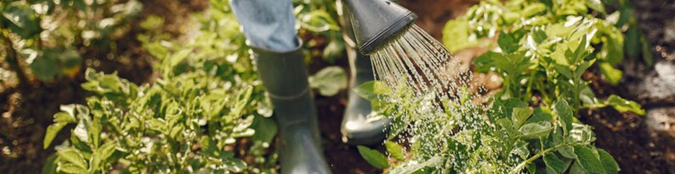 découvrez notre sélection d'avis sur les systèmes d'irrigation pour jardins. comparez les différentes options pour optimiser l'arrosage de vos plantes et profitez d'un jardin en pleine santé tout en préservant l'eau.