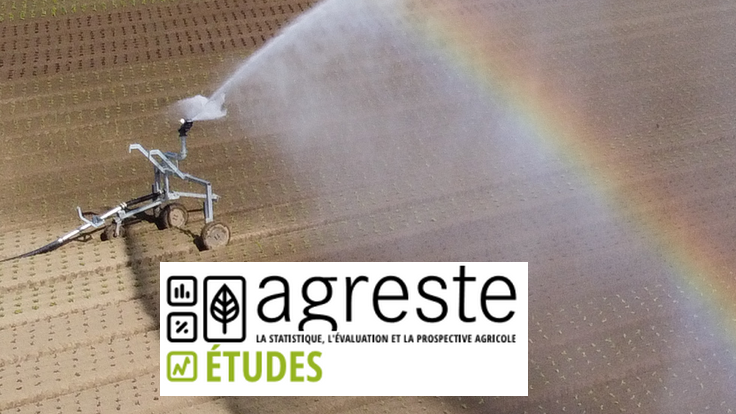 découvrez les avis des utilisateurs sur les systèmes d'irrigation : performances, efficacité et conseils pour optimiser votre jardin. faites le bon choix pour vos plantations avec des retours d'expérience authentiques.