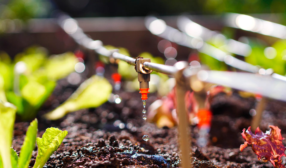 découvrez comment choisir le meilleur système d'irrigation adapté à vos besoins. suivez nos conseils pour optimiser l'arrosage de vos cultures et jardin tout en économisant de l'eau.