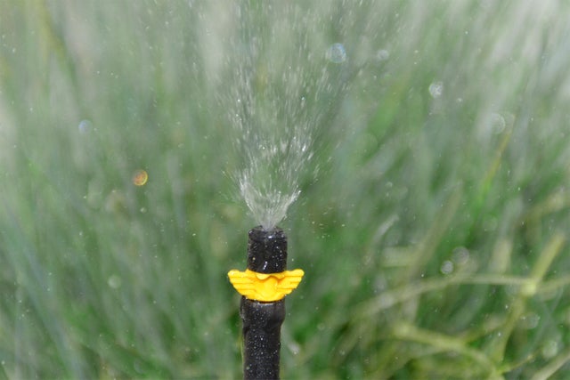 découvrez comment choisir le système d'irrigation idéal pour vos cultures. comparez les options, évaluez vos besoins en eau et optimisez vos rendements pour un jardin florissant.