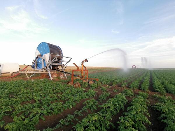 découvrez comment choisir le système d'irrigation idéal pour vos cultures. optimisez l'arrosage, économisez de l'eau et augmentez vos rendements grâce à nos conseils pratiques et astuces. transformez votre jardin ou exploitation avec le bon système d'irrigation adapté à vos besoins.