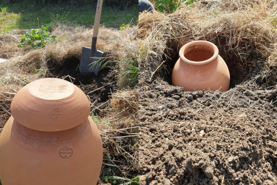 découvrez les meilleures options d'irrigation adaptées à votre jardin ou vos cultures. apprenez à optimiser l'utilisation de l'eau et à améliorer la santé de vos plantes grâce à des conseils pratiques et des solutions innovantes.