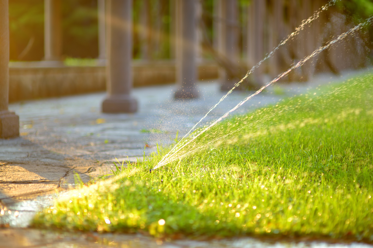 découvrez notre sélection de programmateurs d'arrosage 24v, idéaux pour automatiser l'irrigation de votre jardin. profitez d'un arrosage précis et économique grâce à nos modèles adaptés pour tous vos besoins d'entretien extérieur.