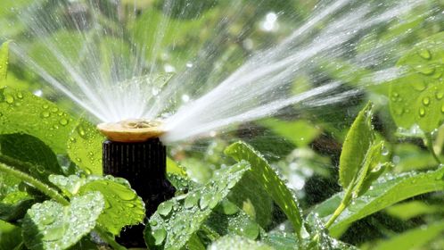 découvrez nos conseils et techniques pour l'irrigation de votre jardin. apprenez à optimiser l'arrosage de vos plantes et fleurs afin de garantir santé et croissance tout en préservant l'eau. transformez votre espace vert avec une irrigation efficace et écologique.