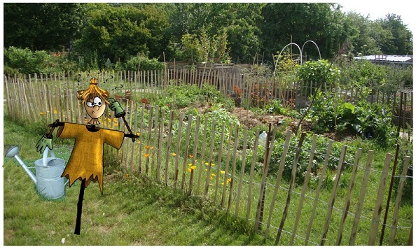 découvrez notre guide pour choisir le meilleur tuyau d'arrosage pour votre potager. des conseils pratiques, des comparatifs de produits et des astuces pour un arrosage efficace et durable de vos plantes. optimisez votre jardinage et garantissez une récolte abondante.