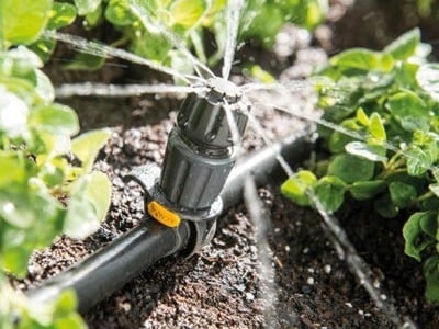 découvrez notre sélection des meilleurs tuyaux d'arrosage spécialement conçus pour votre potager. optez pour des accessoires de qualité qui garantissent un arrosage efficace et respectueux de vos plantes, tout en facilitant votre jardinage.