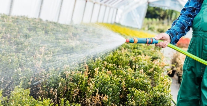 découvrez les meilleures marques d'irrigation pour optimiser l'arrosage de votre jardin. comparez les équipements, technologies et avis des utilisateurs pour faire le choix idéal et garantir la santé de vos plantes.