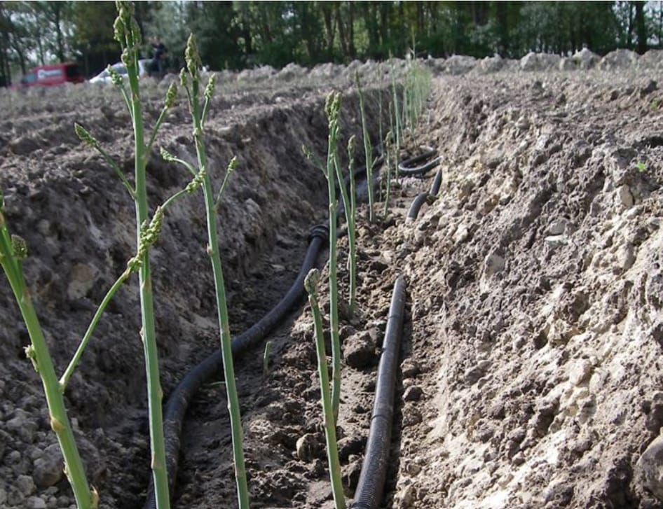 découvrez netafim, le leader en irrigation innovante, qui vous propose des solutions durables et efficaces pour optimiser vos ressources hydriques et maximiser la productivité de vos cultures.