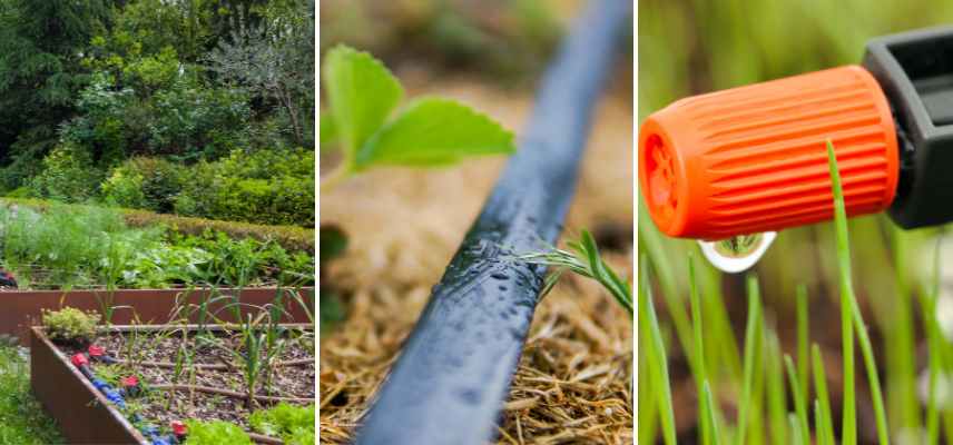 découvrez les systèmes de goutte à goutte, une solution efficace pour l'irrigation des plantes. optimisez l'utilisation de l'eau tout en garantissant une croissance saine et abondante de votre jardin grâce à une technologie innovante et respectueuse de l'environnement.