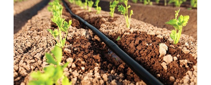 découvrez les systèmes de goutte à goutte, une solution d'irrigation efficace et économique pour optimiser l'arrosage de vos plantes tout en réduisant la consommation d'eau. idéal pour les jardins, potagers et cultures professionnelles.