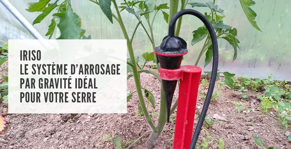 découvrez les systèmes de goutte à goutte, une méthode d'irrigation efficace et éco-responsable, idéale pour optimiser l'arrosage de vos plantes tout en économisant l'eau. apprenez comment ces systèmes fonctionnent et les avantages qu'ils offrent pour le jardinage et l'agriculture.