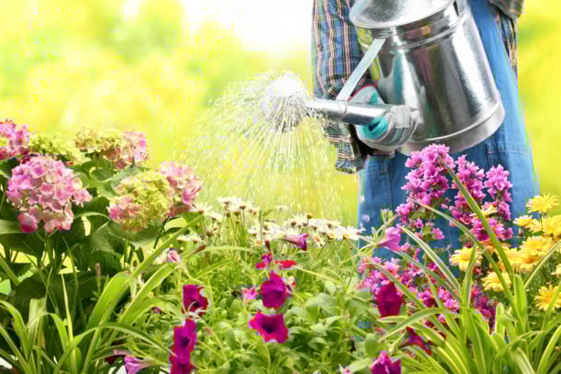 découvrez nos conseils pour un arrosage efficace durant la canicule. apprenez à optimiser l'utilisation de l'eau pour protéger vos plantes et jardins face à la chaleur intense, tout en préservant l'environnement.