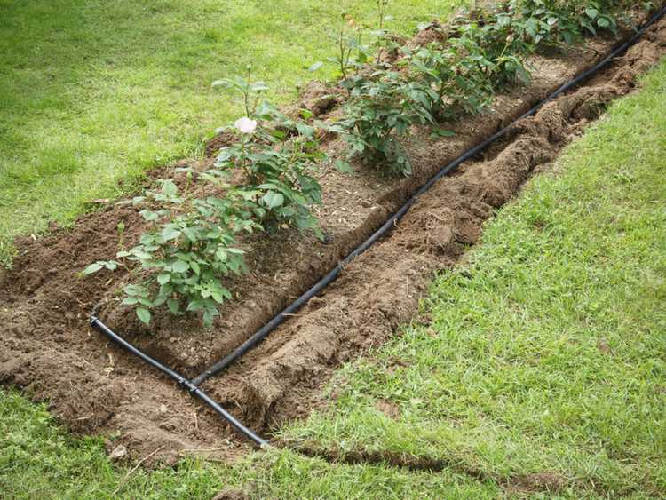 découvrez les meilleures méthodes d'irrigation pour votre jardin ! apprenez à optimiser l'arrosage de vos plantes avec des techniques efficaces et écologiques. transformez votre espace extérieur en un jardin florissant grâce à nos conseils d'experts.