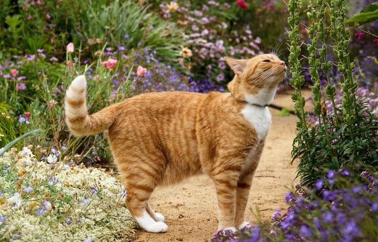 découvrez les erreurs courantes d'arrosage dans votre jardin et apprenez à les éviter. optimisez l'hydratation de vos plantes pour un jardin florissant tout au long de l'année.