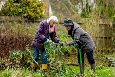 découvrez comment préparer votre jardin pour l'hiver et protéger vos plantes du gel. suivez nos conseils pratiques pour maintenir la santé de vos fleurs et légumes en période froide.