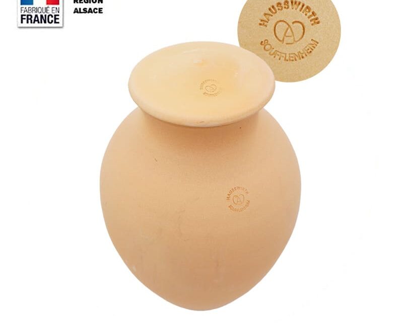 découvrez comment optimiser l'arrosage de vos tomates grâce aux oyas, des pots en terre cuite qui permettent une irrigation efficace et durable. mettez en pratique des techniques de jardinage écoresponsables pour des récoltes abondantes et savoureuses.