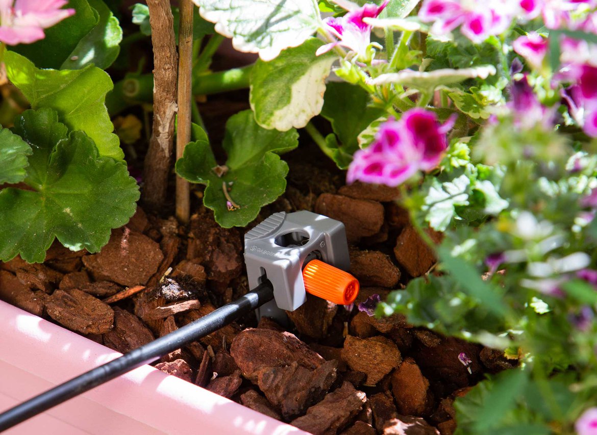 découvrez les avantages de l'arrosage goutte-à-goutte en 2024 : une méthode efficace et économe en eau pour optimiser l'irrigation de votre jardin ou de vos cultures. apprenez les dernières innovations et techniques pour maximiser l'hydratation de vos plantes tout en préservant l'environnement.