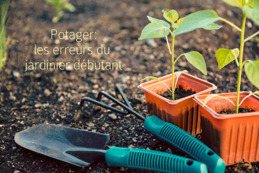 découvrez les erreurs courantes à éviter lors de l'arrosage de votre jardin. apprenez à optimiser l'irrigation pour favoriser la croissance de vos plantes et garantir un espace extérieur florissant.