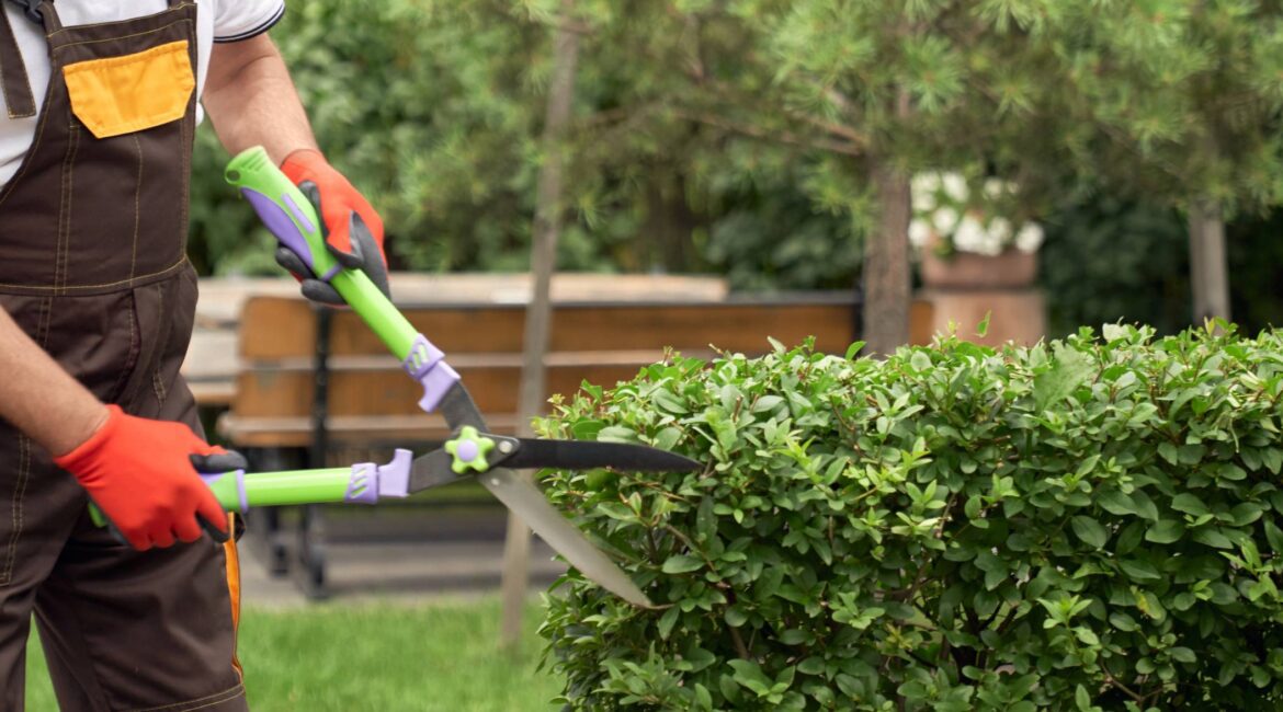 découvrez l'entretien minimal de votre jardin : des astuces simples et efficaces pour profiter d'un espace vert épanouissant sans y passer trop de temps. simplifiez votre jardinage avec des conseils pratiques et des techniques durables.