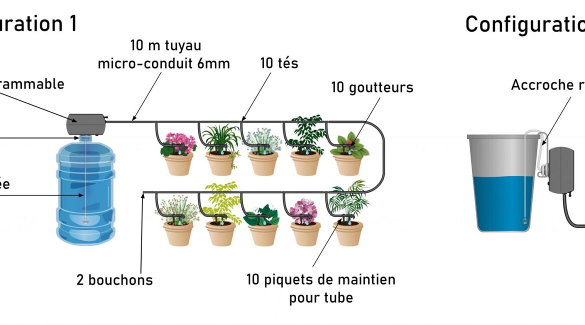 découvrez nos conseils pratiques pour un arrosage efficace de votre jardin durant l'été. apprenez à choisir les meilleures techniques et à maintenir vos plantes en pleine santé face à la chaleur estivale.