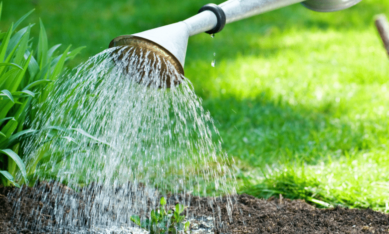 découvrez nos conseils pratiques pour un arrosage hivernal efficace, afin de protéger vos plantes et jardins durant les mois froids. apprenez à ajuster vos techniques d'arrosage pour assurer la santé de vos végétaux même en hiver.