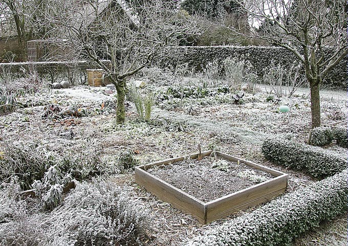 découvrez comment aménager et entretenir votre jardin en hiver pour qu'il reste beau et accueillant. inspirez-vous de nos conseils pour sélectionner les bonnes plantes, protéger votre espace extérieur et profiter pleinement de la magie de la saison froide.
