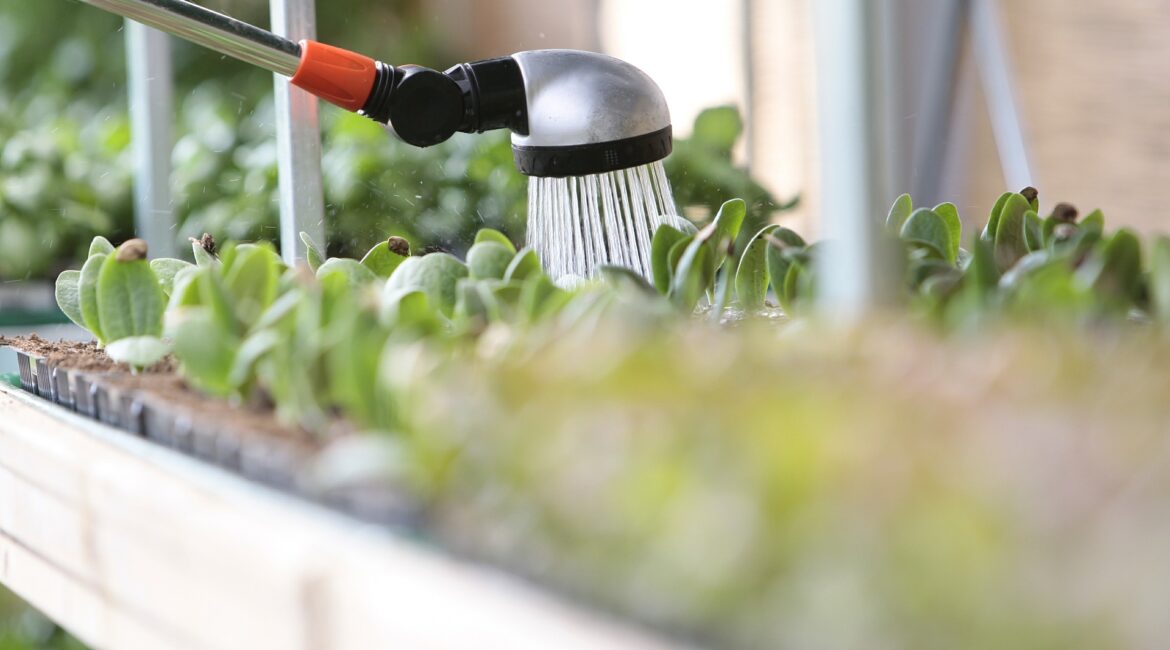 découvrez nos conseils pratiques pour un arrosage efficace de votre jardin durant l'hiver. protégez vos plantes des rigueurs de la saison froide et apprenez à adapter votre routine d'arrosage pour garantir leur santé et leur croissance.