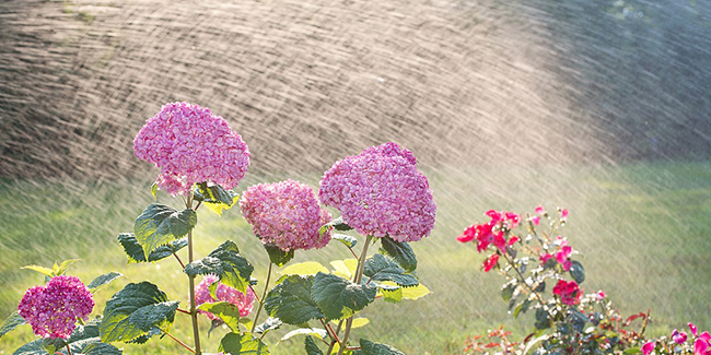 découvrez des conseils pratiques pour l'arrosage de votre jardin en hiver. apprenez à adapter vos techniques d'irrigation aux conditions froides afin de protéger vos plantes tout en assurant leur santé et leur croissance.