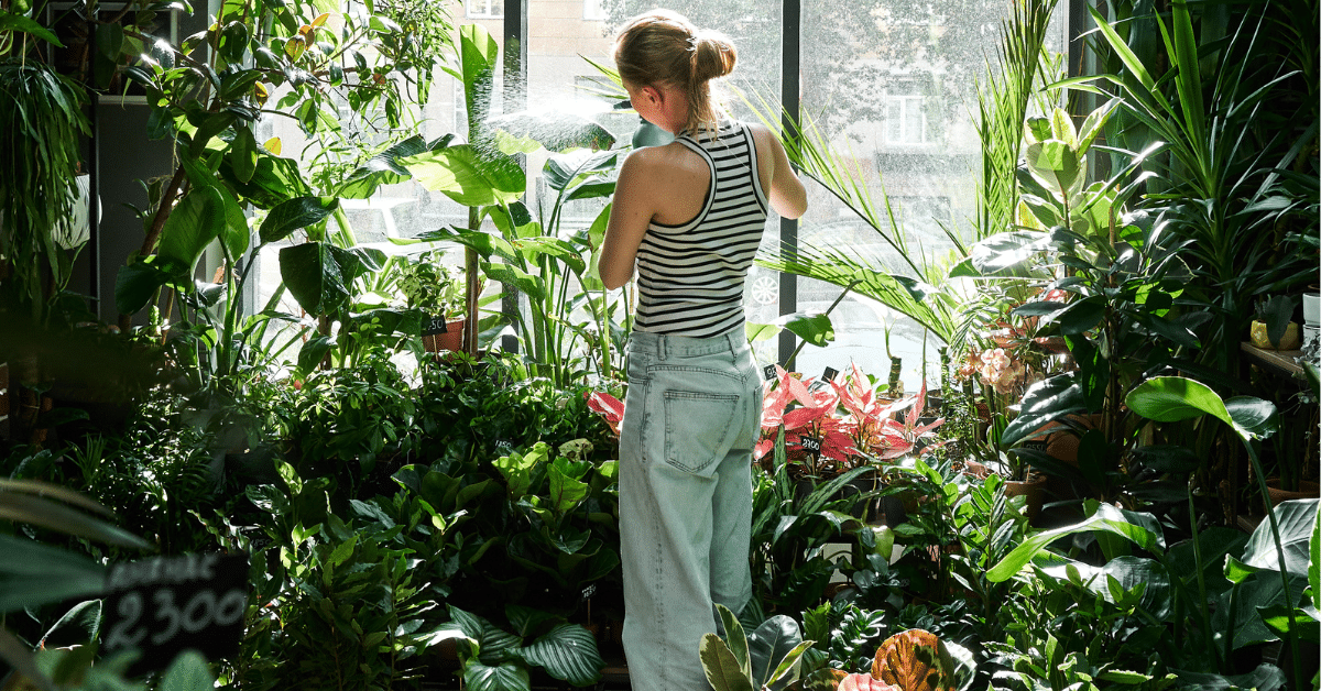 découvrez nos conseils pratiques pour le drainage des plantes en pot pendant l'hiver. assurez une bonne santé à vos plantes en évitant l'excès d'eau et en optimisant leur hydratation dans les mois froids.