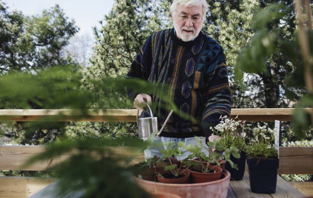 découvrez tout ce qu'il faut savoir sur l'arrosage en hiver : conseils pratiques, techniques adaptées et plantes à privilégier pour garantir la santé de votre jardin même pendant les mois froids.