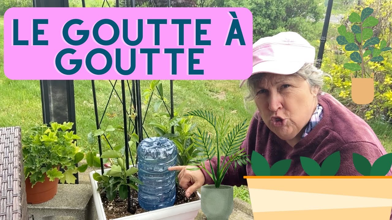 découvrez l'importance de l'arrosage matinal des plantes et comment cette pratique simple peut favoriser leur croissance et leur santé tout en optimisant l'utilisation de l'eau.