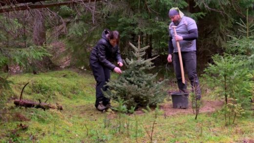 découvrez les erreurs à éviter au jardin en janvier en occitanie. protégez vos plantations et optimisez votre jardinage grâce à nos conseils pratiques adaptés aux conditions climatiques de la région.