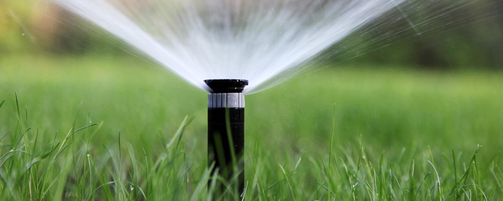 découvrez notre sélection des meilleurs systèmes d'arrosage pour 2025, offrant efficacité et innovation pour un jardin toujours verdoyant. optimisez l'irrigation de vos plantes grâce à des solutions adaptées à vos besoins.