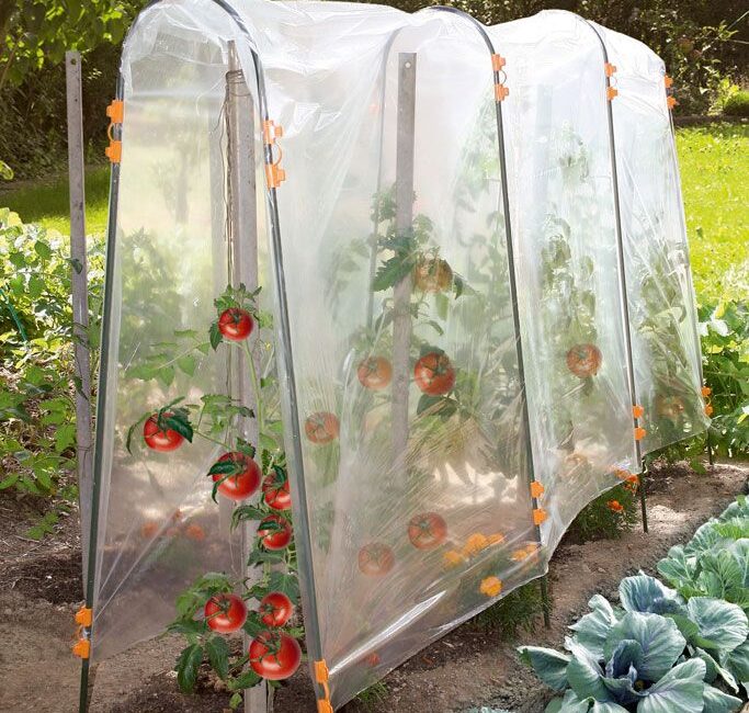 découvrez les meilleurs conseils et astuces pour installer des pièges efficaces dans votre potager au printemps. protégez vos plantes des nuisibles tout en favorisant la croissance de vos récoltes grâce à des solutions naturelles et éprouvées.