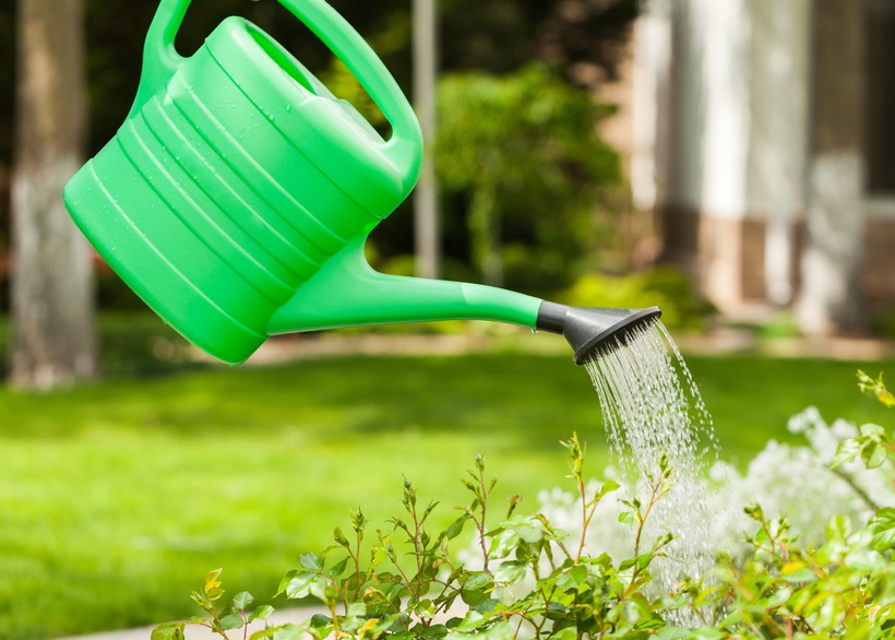 découvrez nos conseils essentiels pour l'arrosage des fleurs, afin de garantir leur éclat et leur santé tout au long de la saison. apprenez à adapter vos méthodes d'arrosage en fonction des besoins spécifiques de chaque type de fleur.