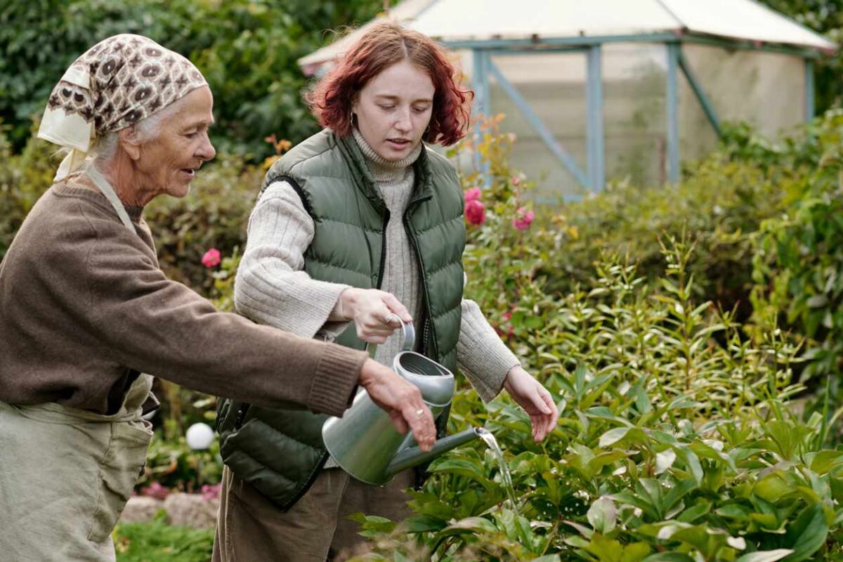 découvrez nos astuces pratiques pour un arrosage optimal en hiver. protégez vos plantes du gel et assurez-leur un développement sain durant la saison froide grâce à des conseils adaptés aux besoins spécifiques de chaque espèce.