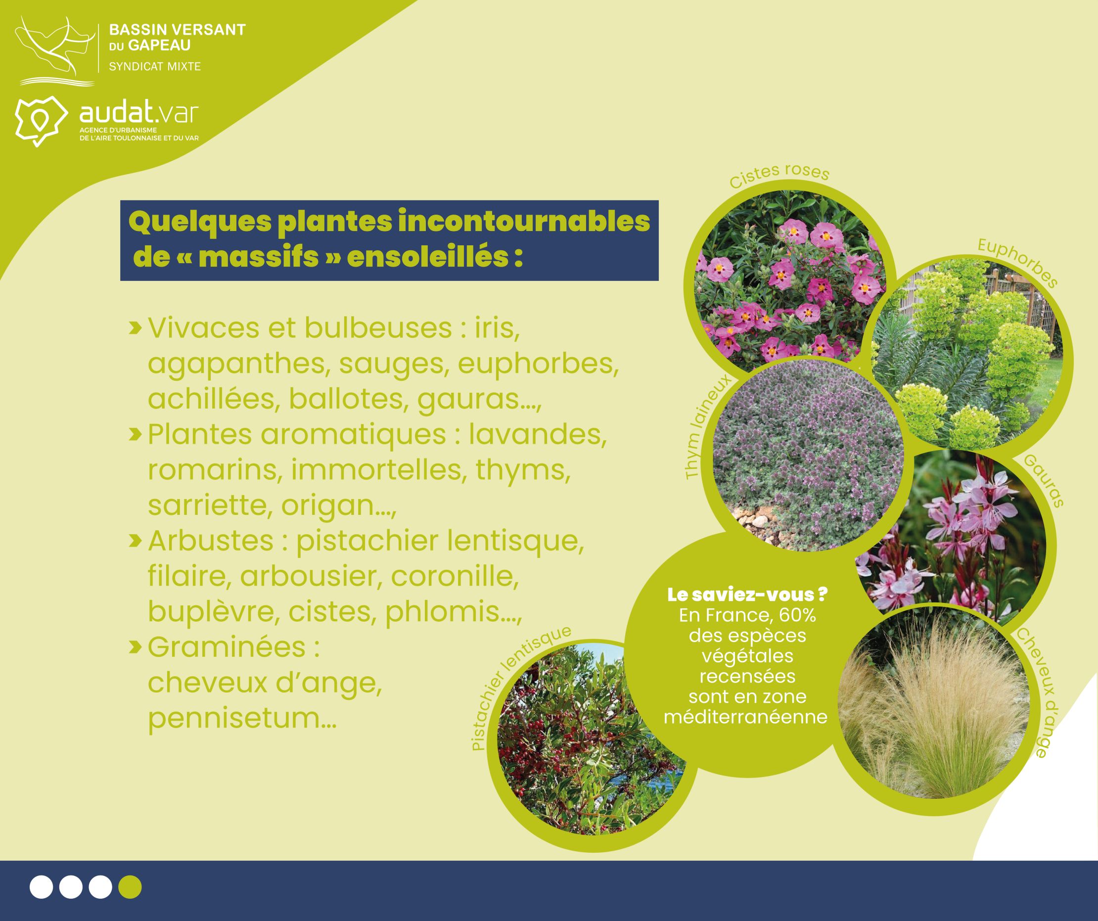 découvrez des astuces pratiques et efficaces pour économiser l'eau dans votre jardin. apprenez à utiliser des techniques d'arrosage économes et à choisir des plantes adaptées pour un jardin durable et respectueux de l'environnement.