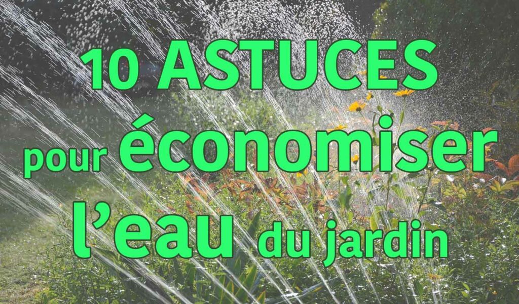 découvrez des astuces pratiques et efficaces pour économiser l'eau dans votre jardin tout en préservant la santé de vos plantes. apprenez à optimiser l'irrigation, choisir des plantes résistantes à la sécheresse et mettre en place des techniques de récupération d'eau de pluie.