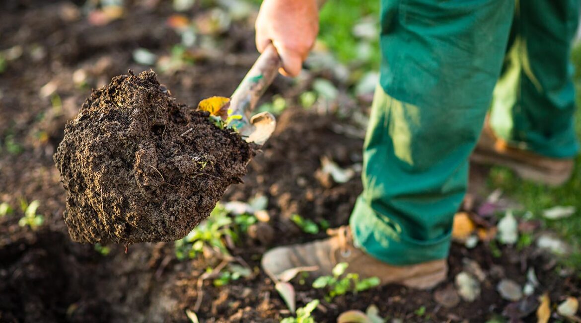 découvrez nos conseils pour un jardin florissant au printemps ! apprenez les meilleures pratiques de jardinage, les plantes idéales à semer et les astuces pour entretenir votre espace vert à cette saison propice aux nouvelles floraisons.