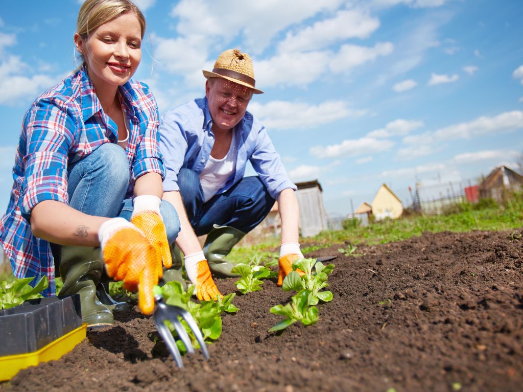 découvrez nos astuces de jardinage pour le printemps ! transformez votre jardin en un véritable havre de paix avec des conseils pratiques sur les plantations, l'entretien et l'aménagement. profitez pleinement de cette belle saison pour faire fleurir vos rêves de jardin.