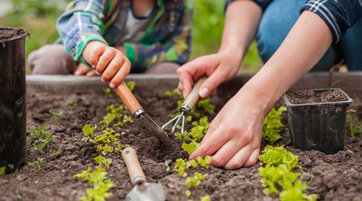 découvrez comment bien démarrer votre potager en mars : conseils sur les semis, les plantations et l'entretien pour une récolte abundante et savoureuse tout au long de l'année.