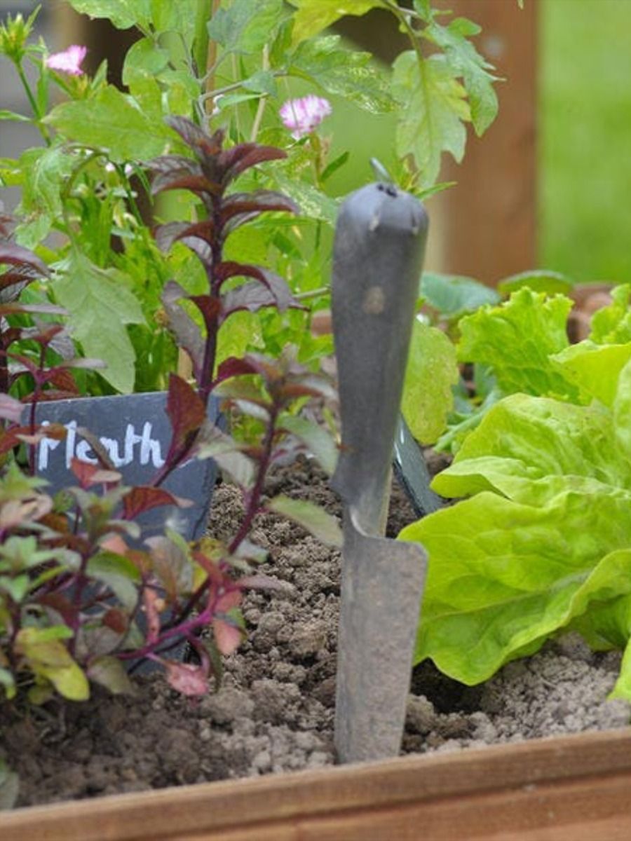 découvrez nos astuces indispensables pour entretenir vos carrés potagers et maximiser la santé de vos plantes. des conseils pratiques pour un potager florissant, que vous soyez débutant ou jardinier confirmé.