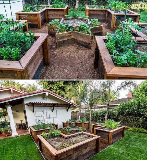 découvrez des astuces pratiques pour entretenir vos carrés potagers et maximiser la croissance de vos légumes. apprenez à optimiser l'espace, à choisir les bonnes plantes et à préserver la santé de votre sol.