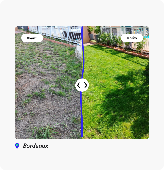 découvrez la poche à engrais bleen, conçue pour faciliter l'application d'engrais liquide directement via votre tuyau d'arrosage. optimisez l'entretien de vos plantes avec cette solution pratique et efficace, idéale pour les jardiniers passionnés.